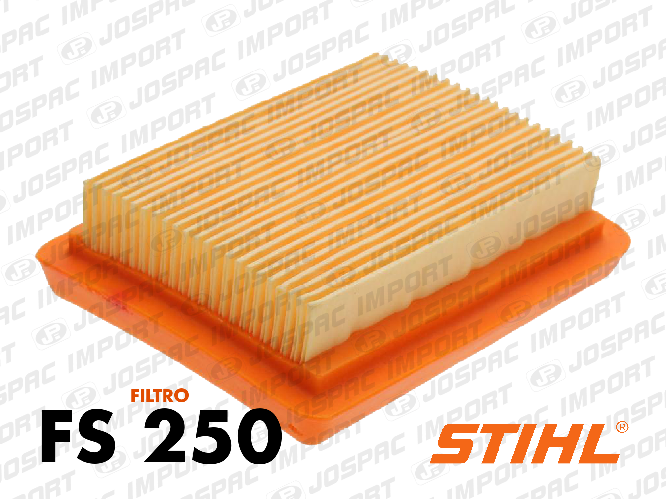 Foto de FS 250