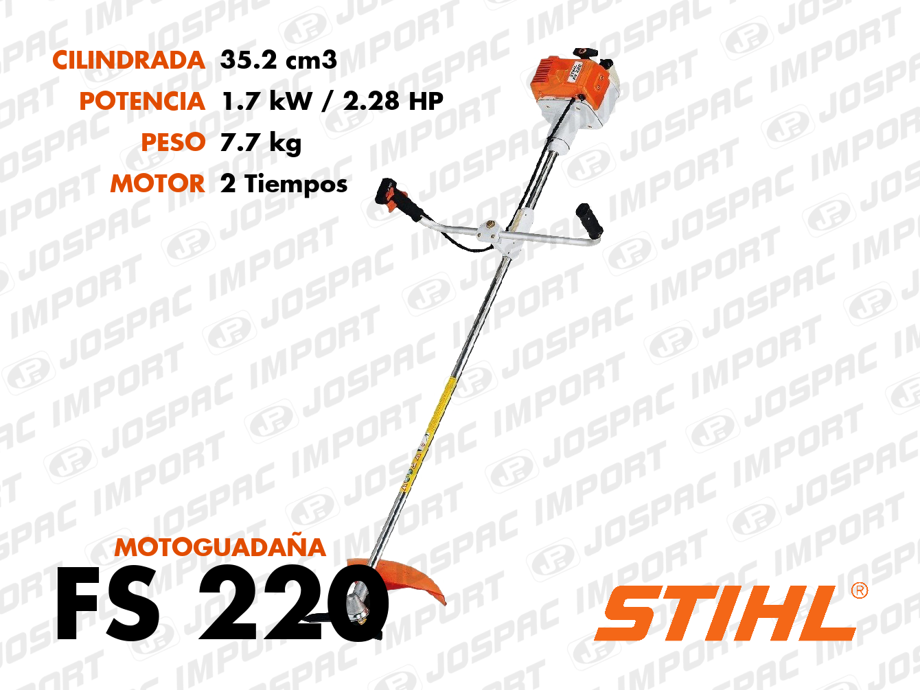 Foto de FS 220