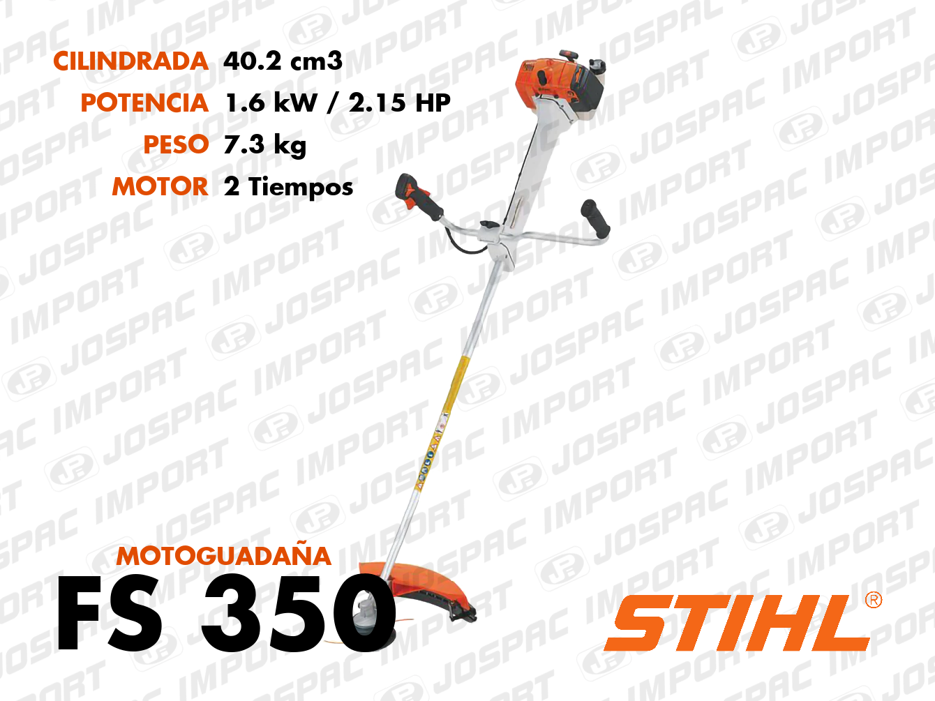 Foto de FS 350