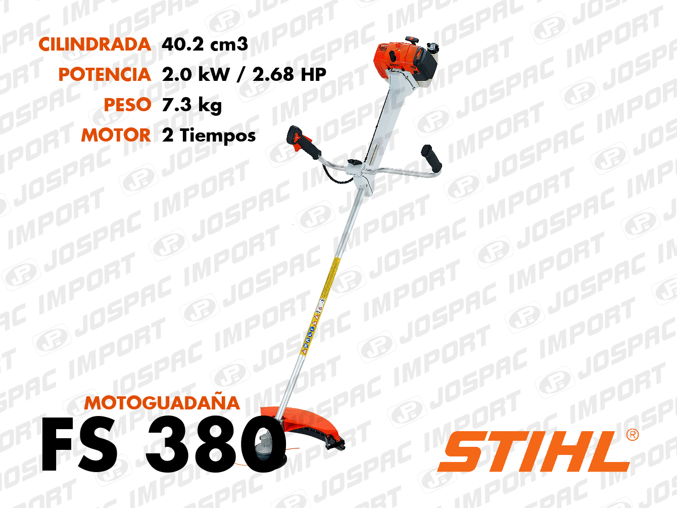Foto de FS 380